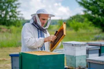 Ile zarabia pszczelarz